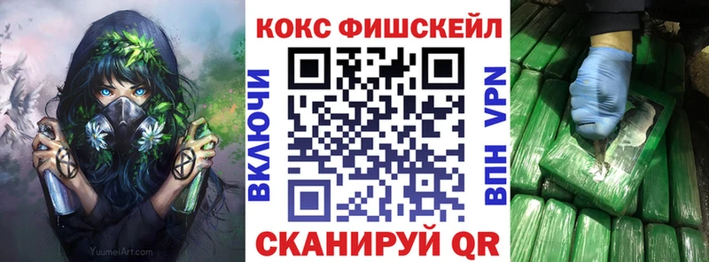 COCAIN Fish Scale  Купить где  Татарск 