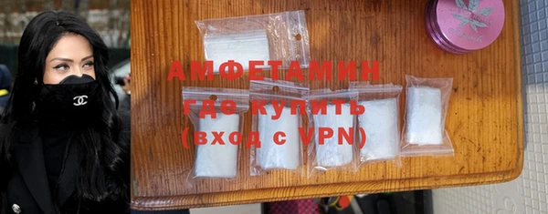 прущие грибы Мегион