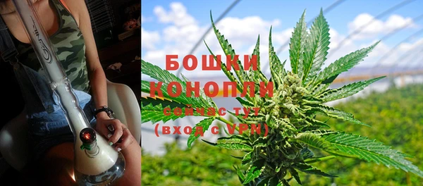 тгк Майский
