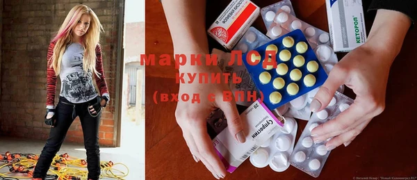 PSILOCYBIN Магас